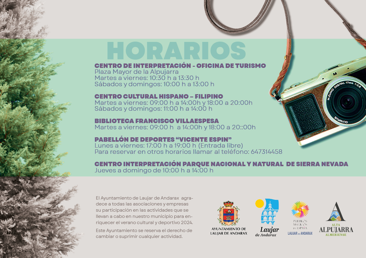 Ver imagen